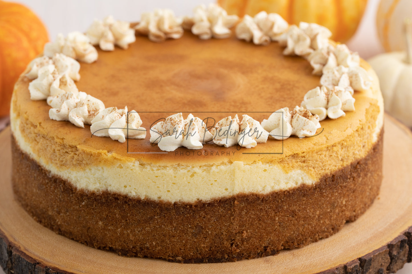 SOLD Exclusive - Pumpkin Cheesecake