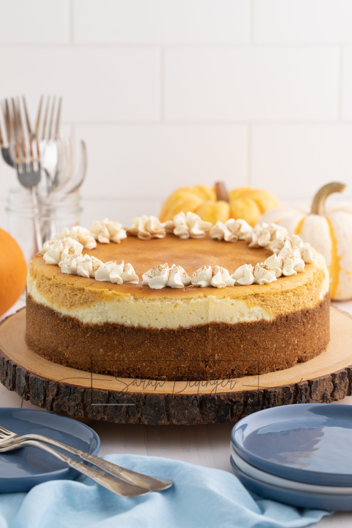 SOLD Exclusive - Pumpkin Cheesecake