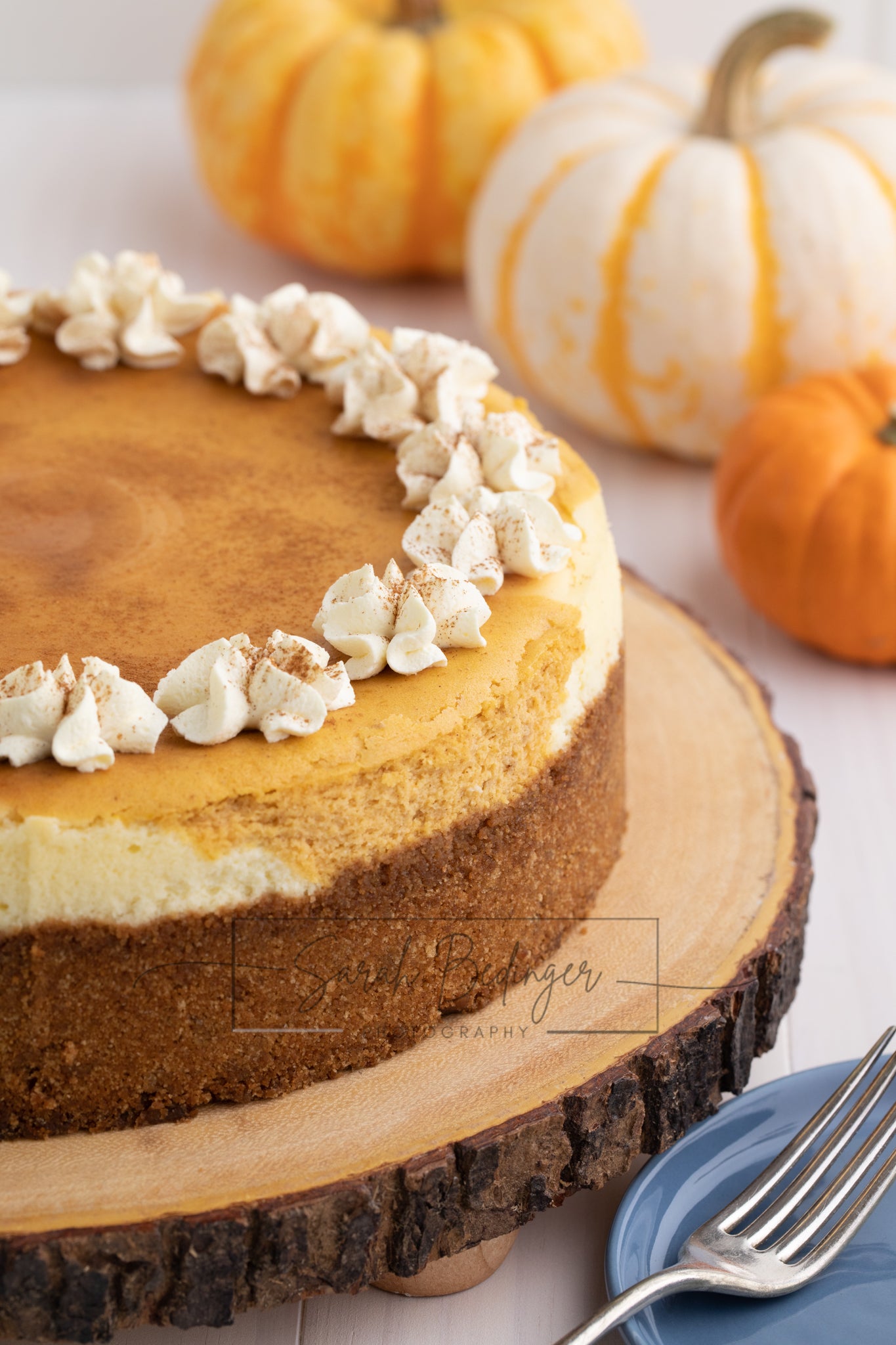 SOLD Exclusive - Pumpkin Cheesecake