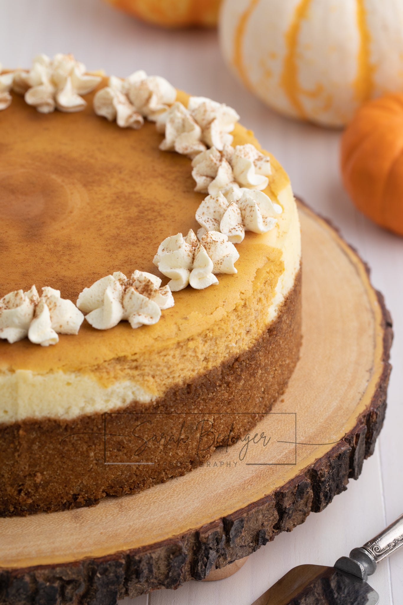 SOLD Exclusive - Pumpkin Cheesecake