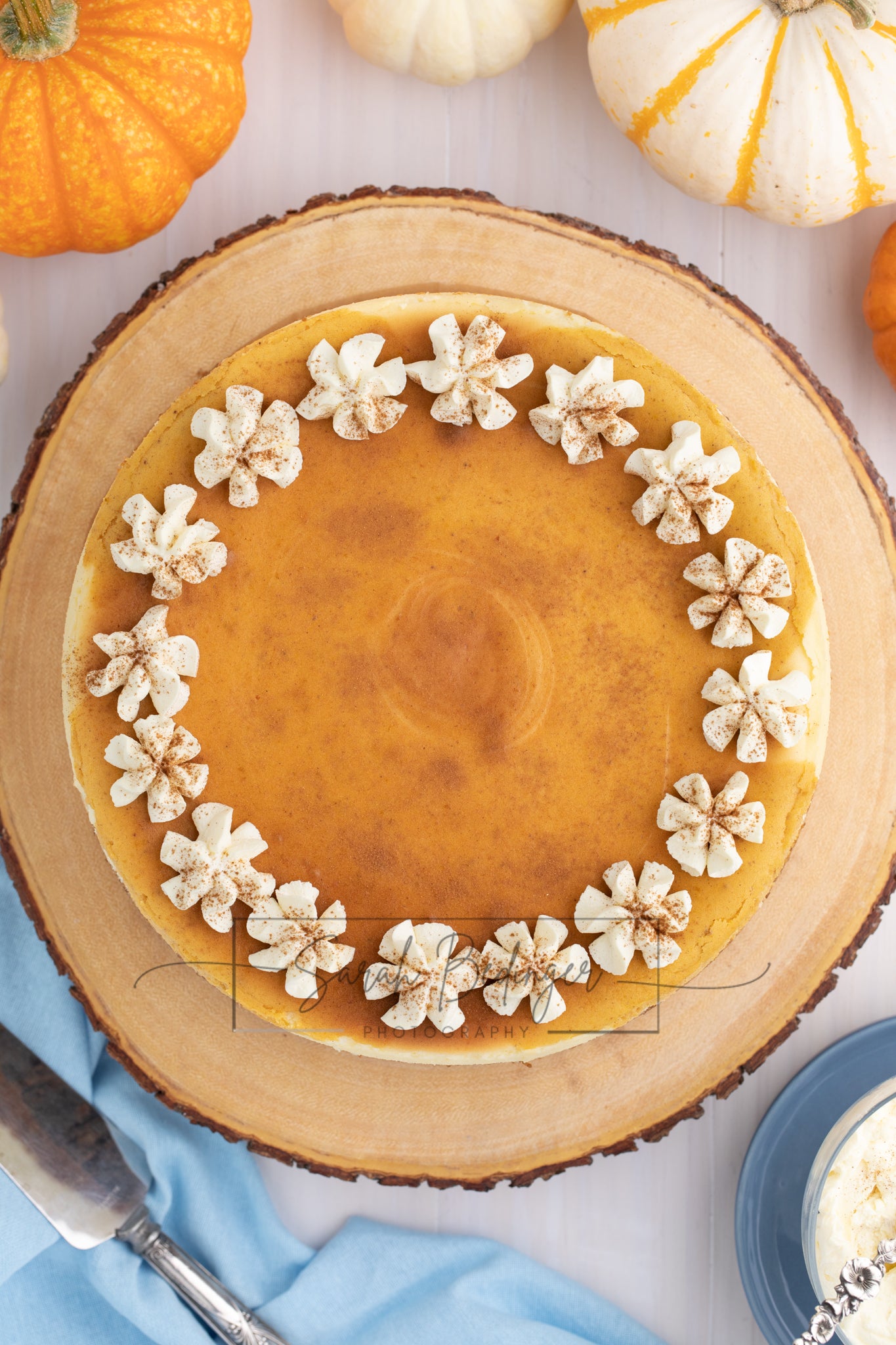 SOLD Exclusive - Pumpkin Cheesecake