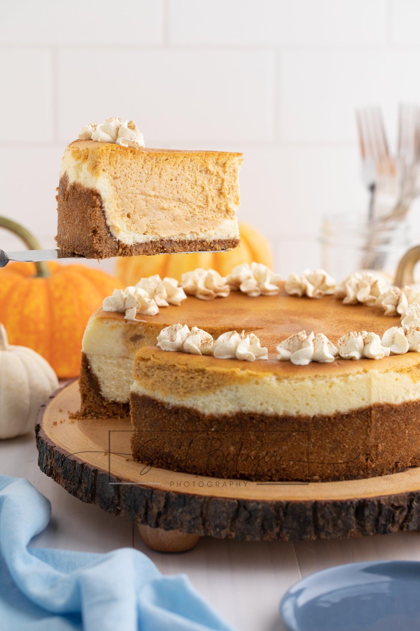 SOLD Exclusive - Pumpkin Cheesecake