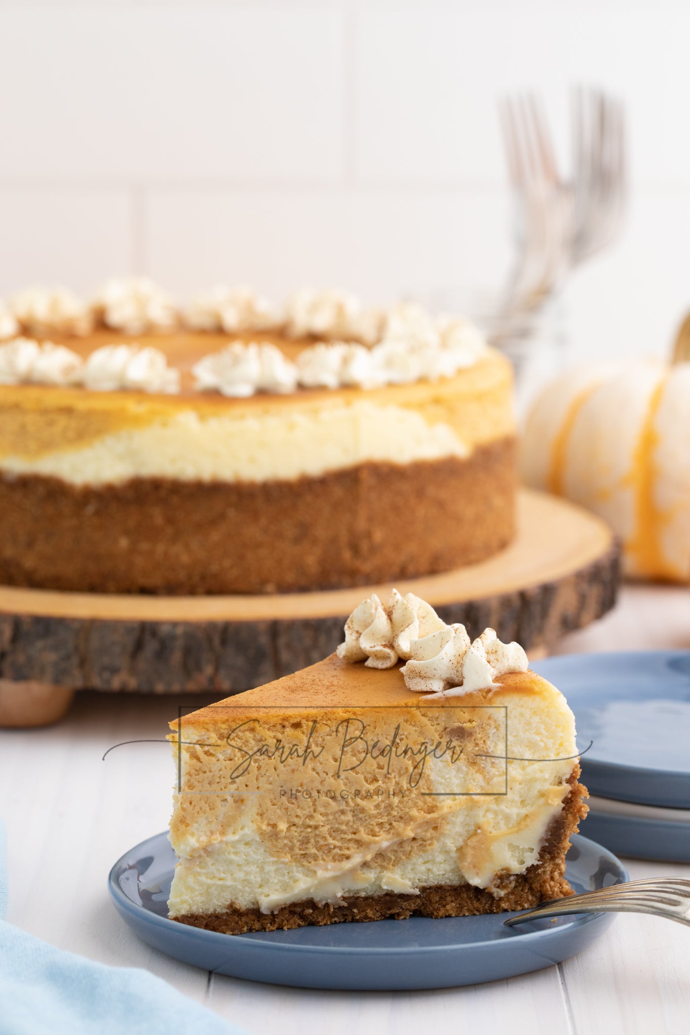 SOLD Exclusive - Pumpkin Cheesecake