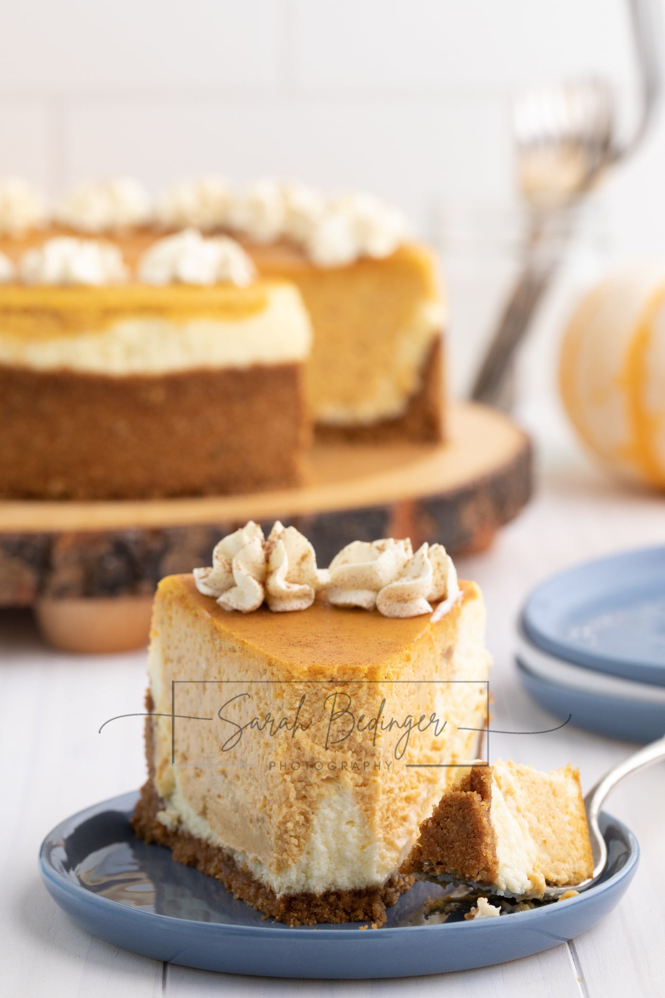 SOLD Exclusive - Pumpkin Cheesecake