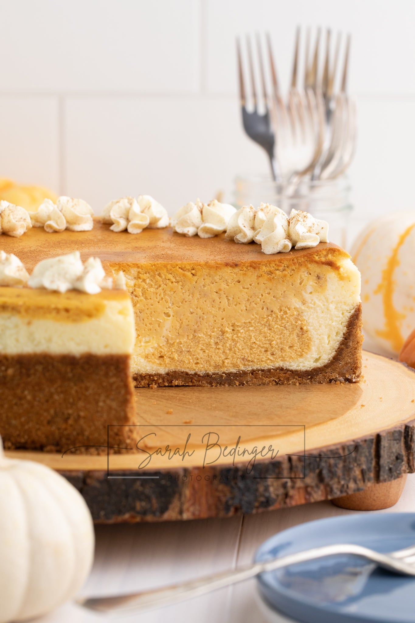 SOLD Exclusive - Pumpkin Cheesecake