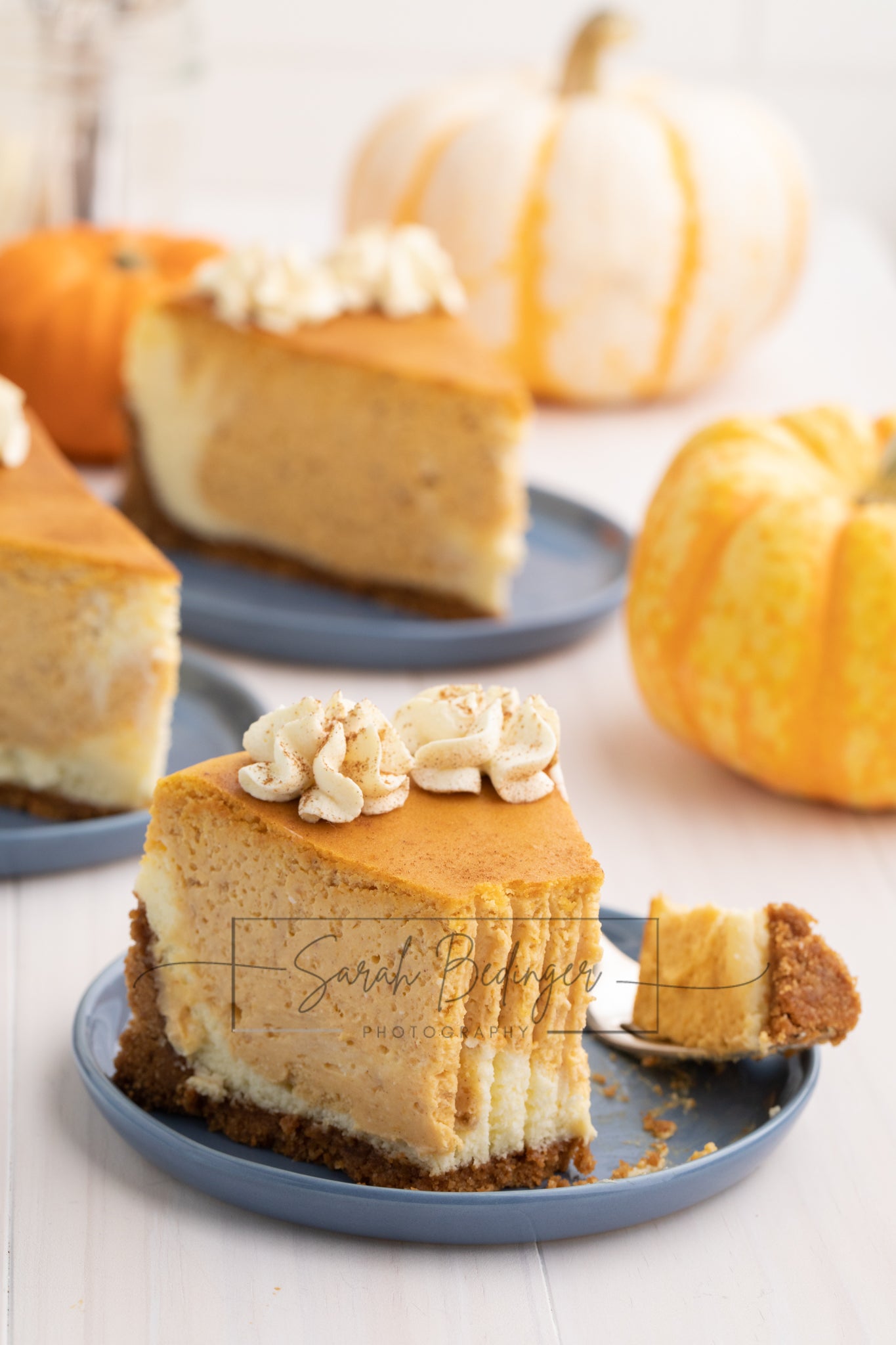 SOLD Exclusive - Pumpkin Cheesecake