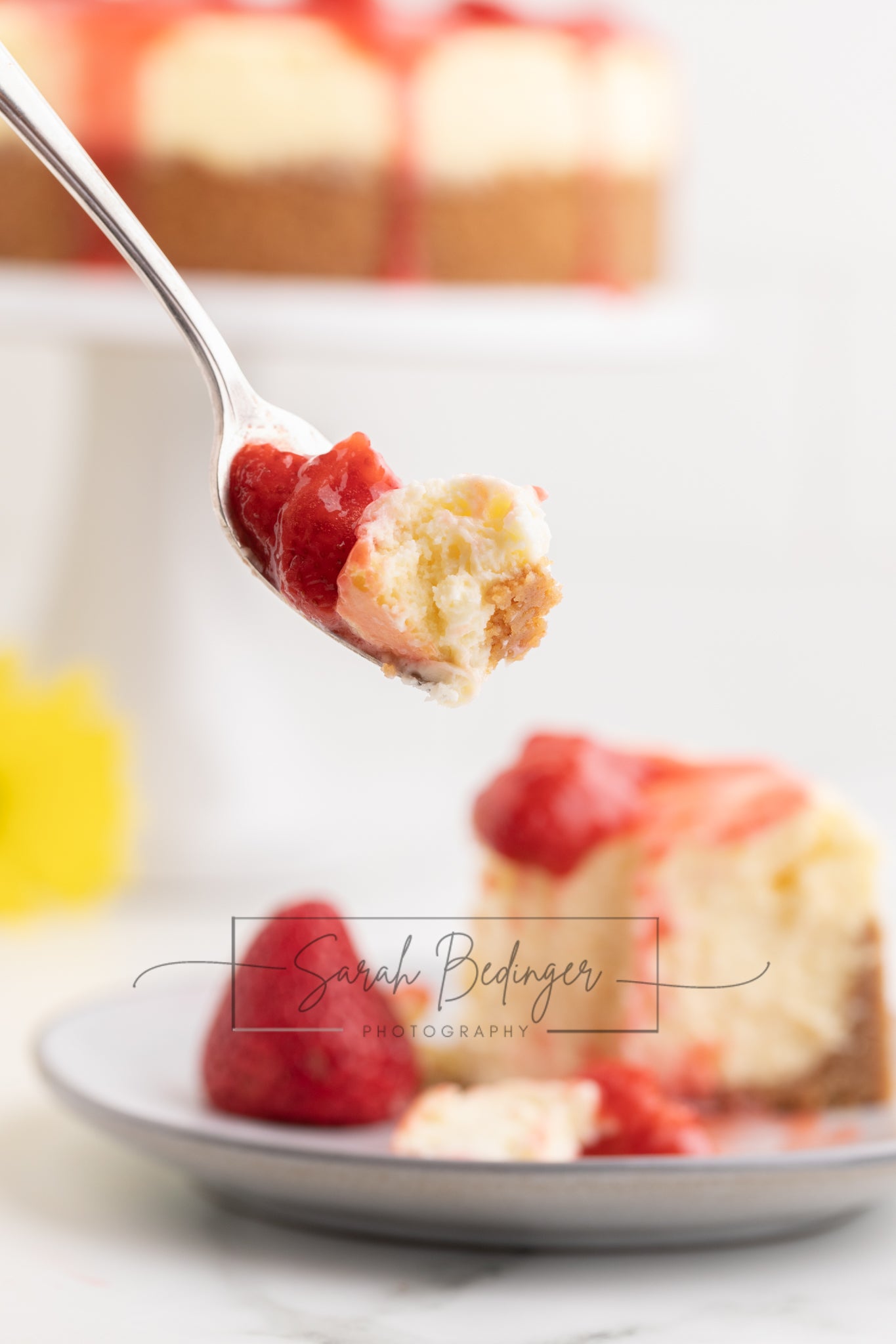 SOLD Exclusive - Strawberry Cheesecake